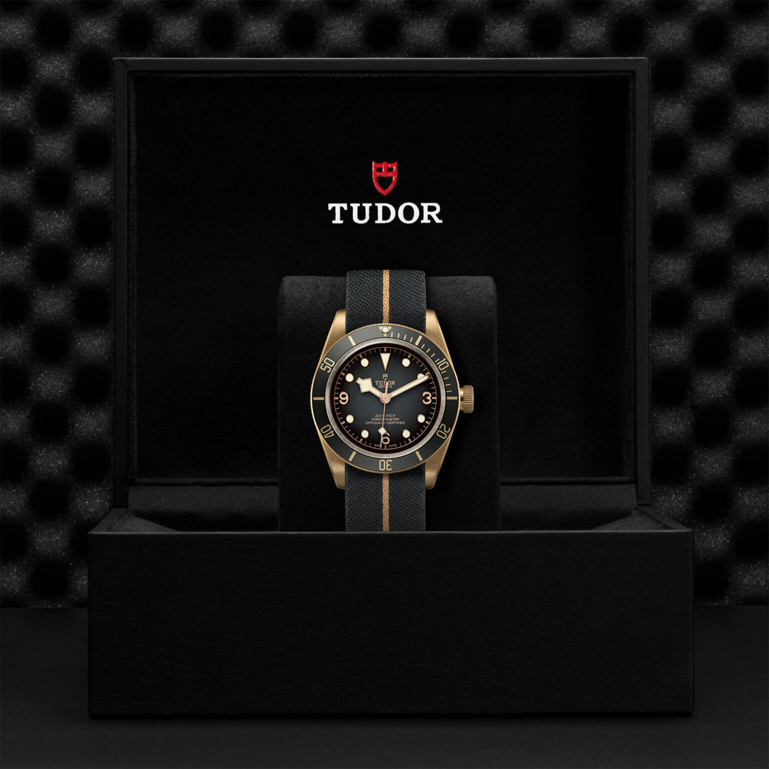 tudor 43mm
