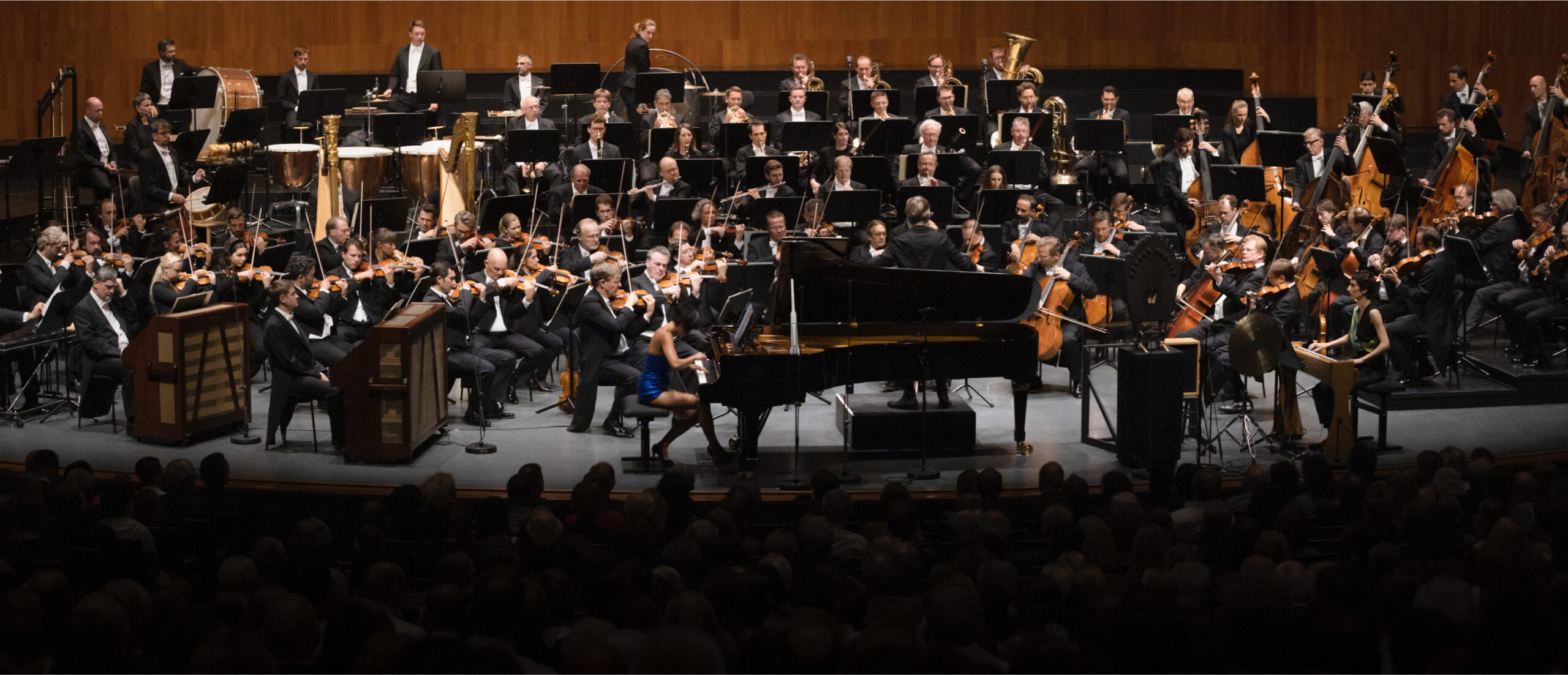 The Vienna Philharmonic