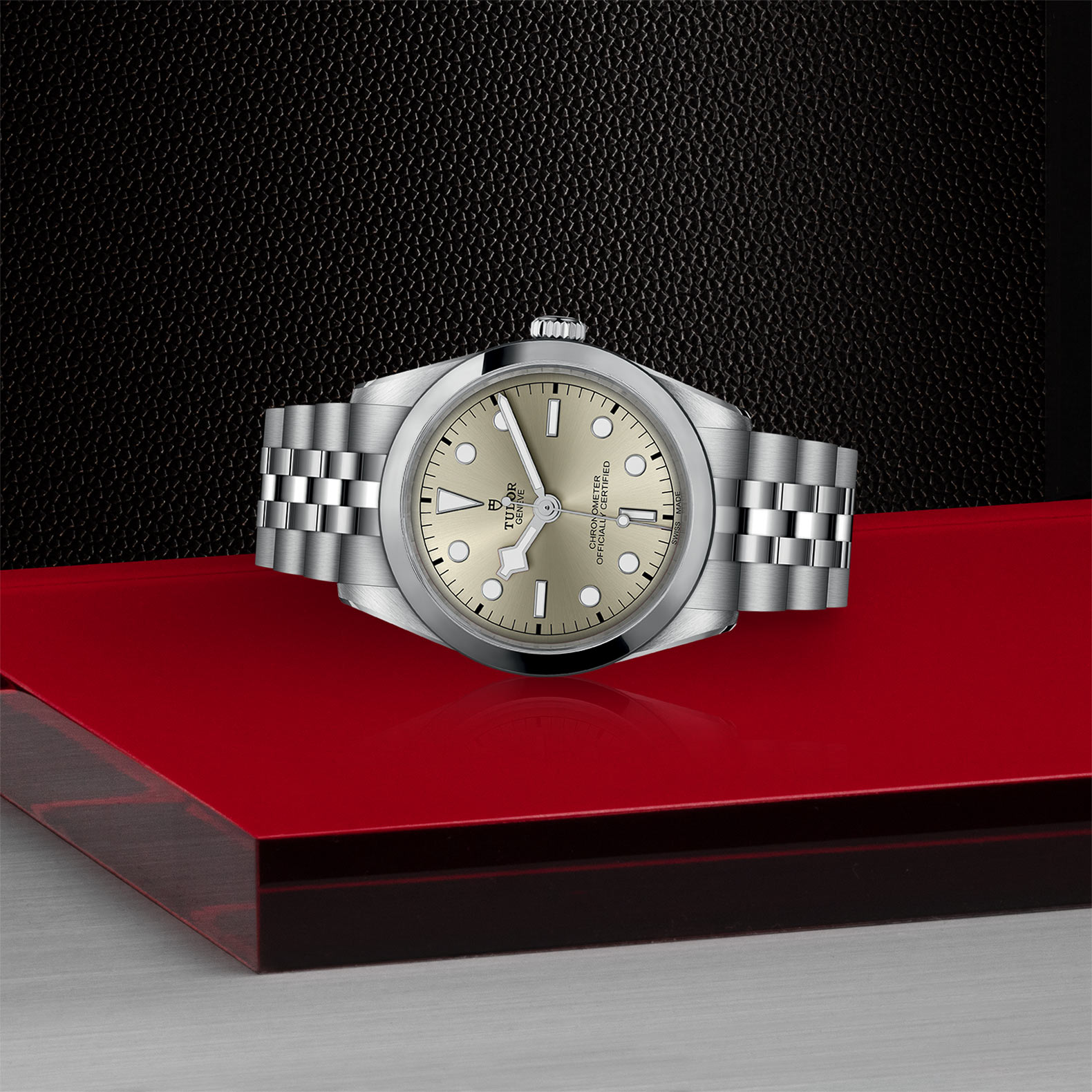 Tudor Black Bay M79640-0003