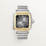 Santos de Cartier CRW2SA0030