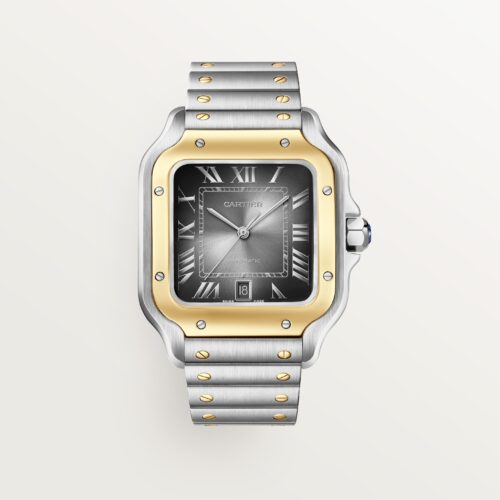 Santos de Cartier CRW2SA0030