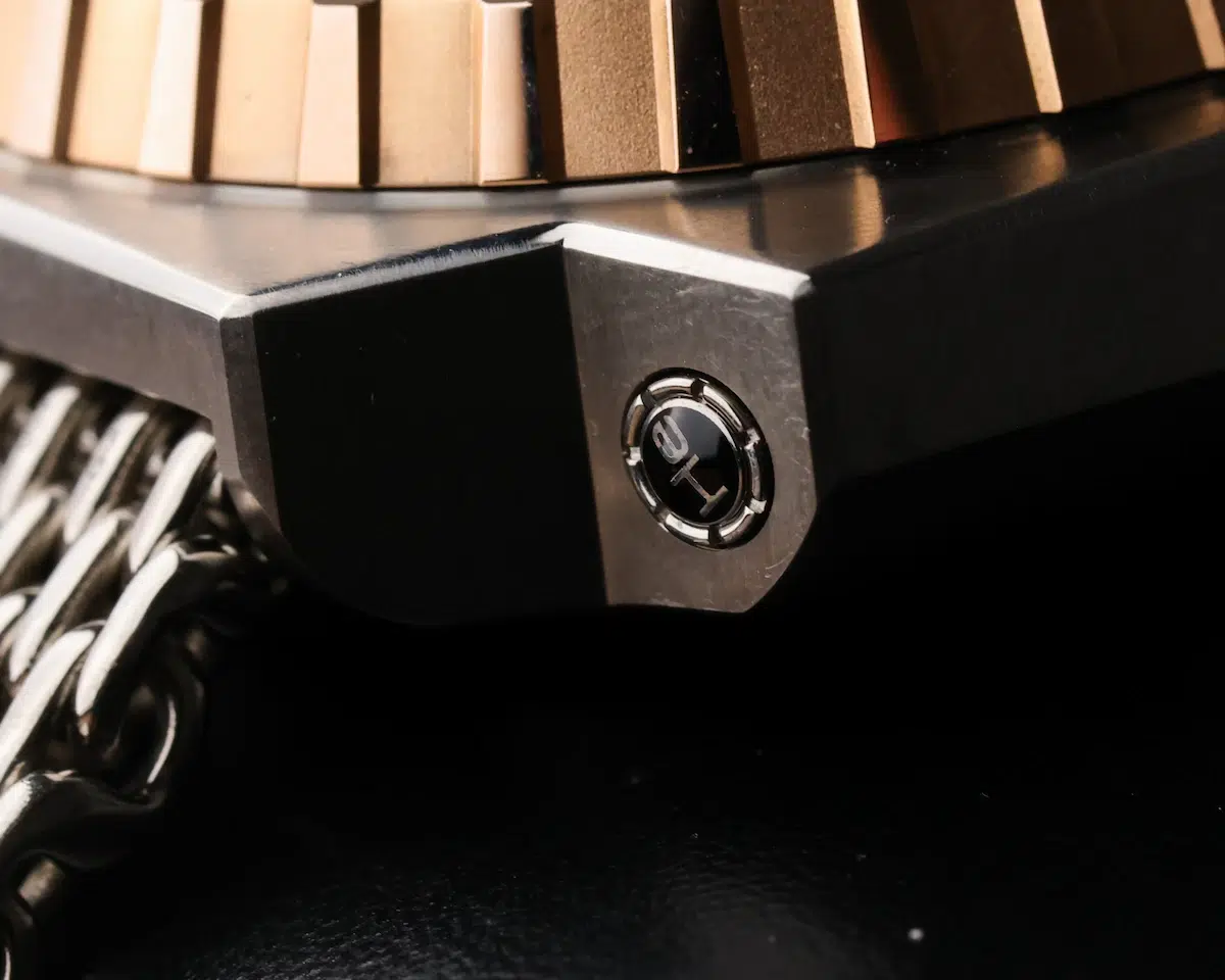 Omega Seamaster Ploprof titanium case corner showing screw detail