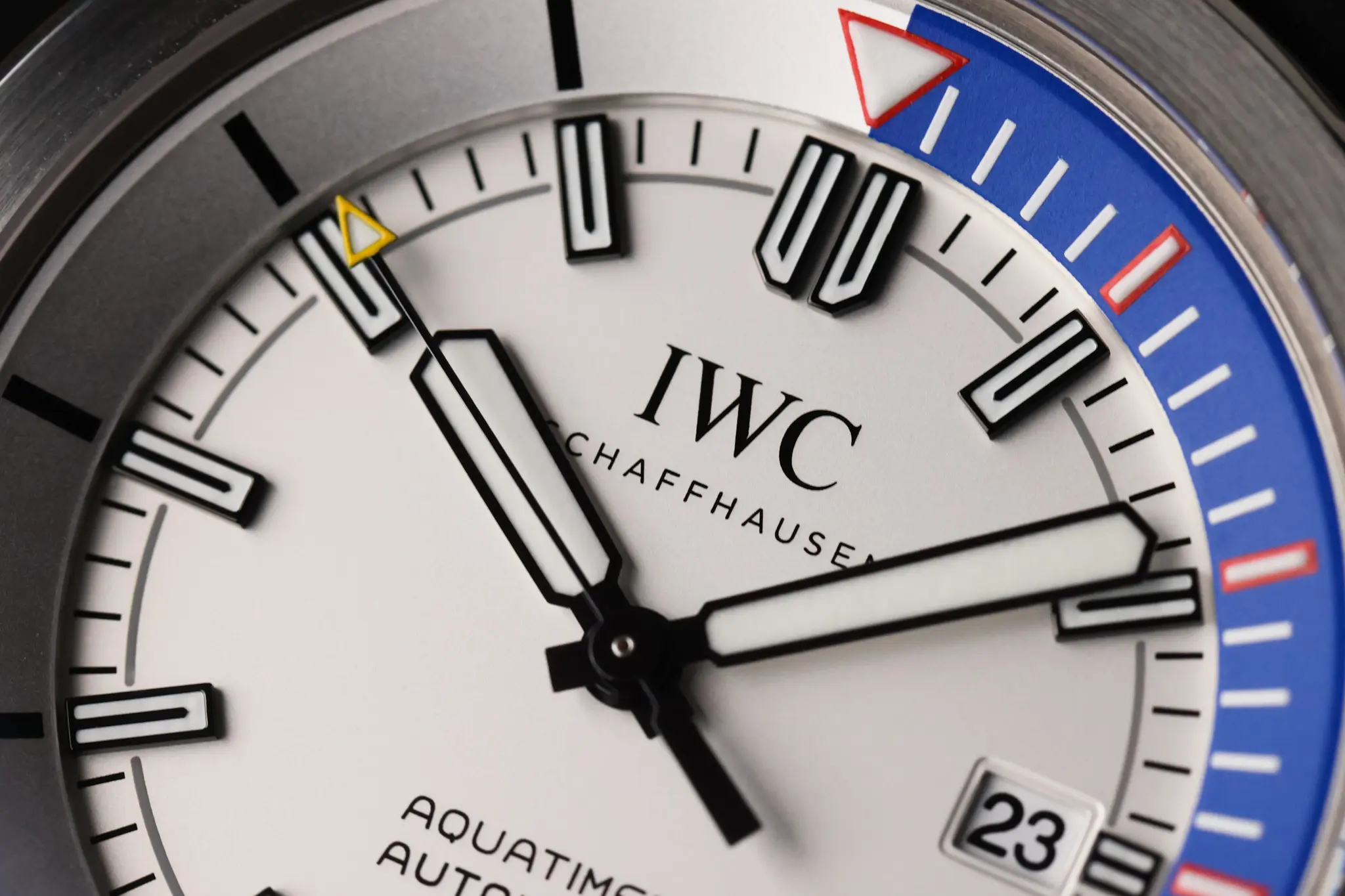 Macro shot of the IWC Aquatimer ZSC Lions internal bezel and minute track