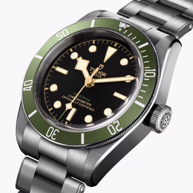 tudor black bay m79230g-0001 dial