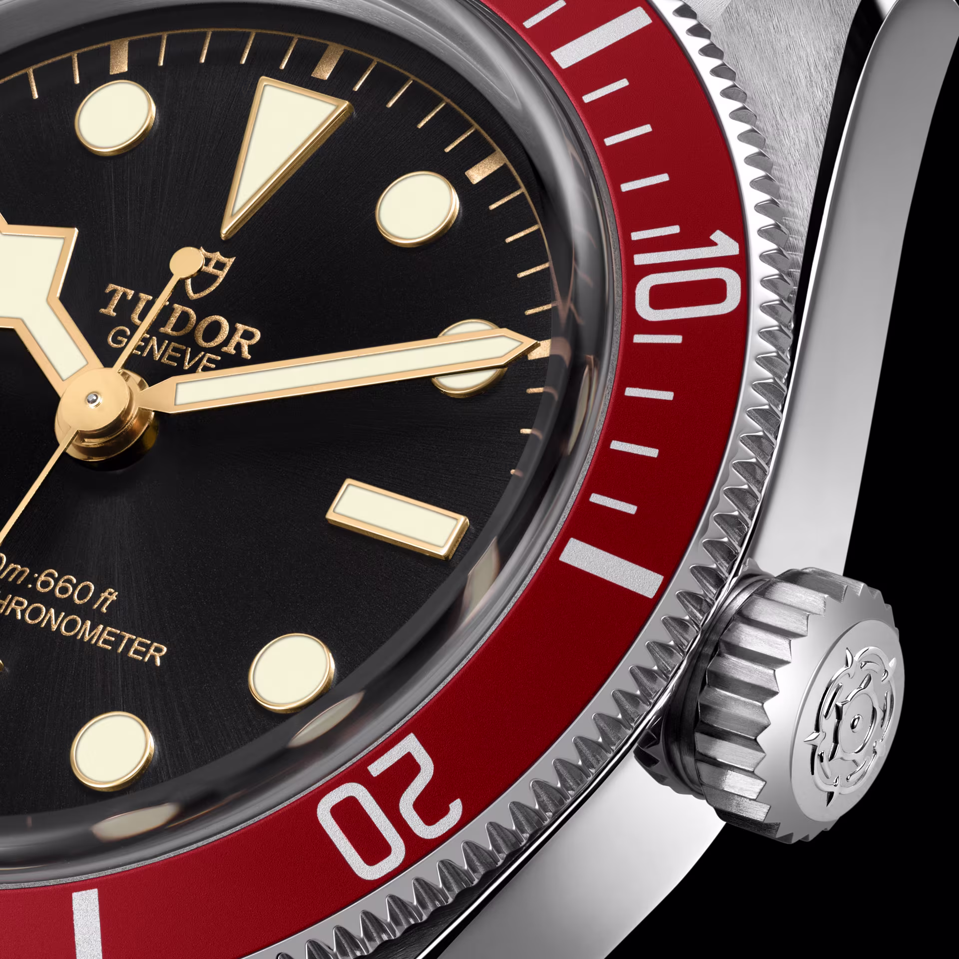 tudor black bay m7941a1a0ru-0003 bezel
