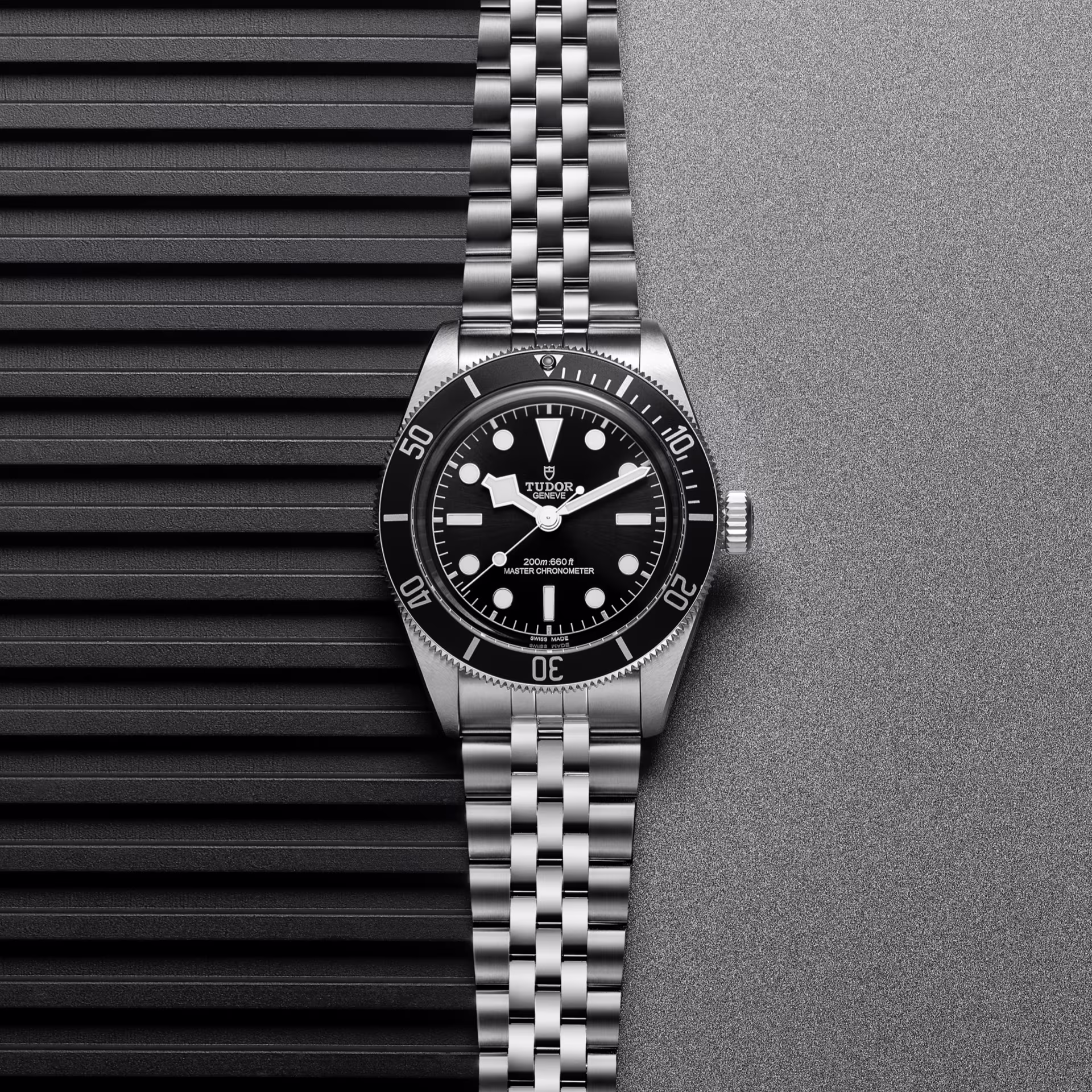 Tudor black bay on black and grey background