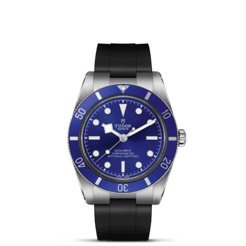 Black Bay 54 M79000B-0002