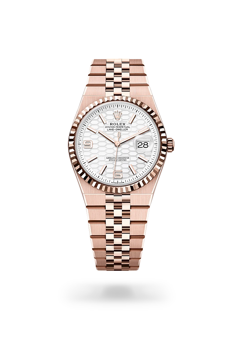 Oyster, 36 mm, Everose gold