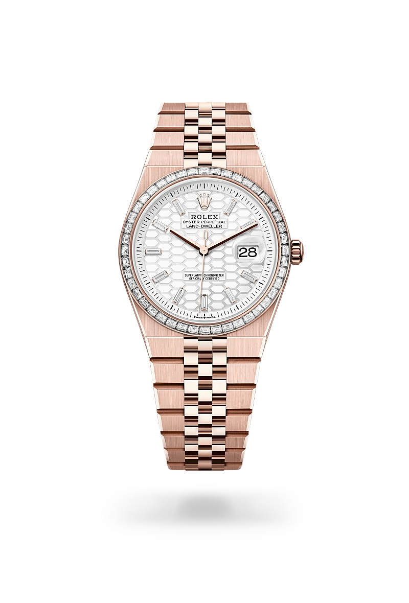 Oyster, 36 mm, Everose gold and diamonds