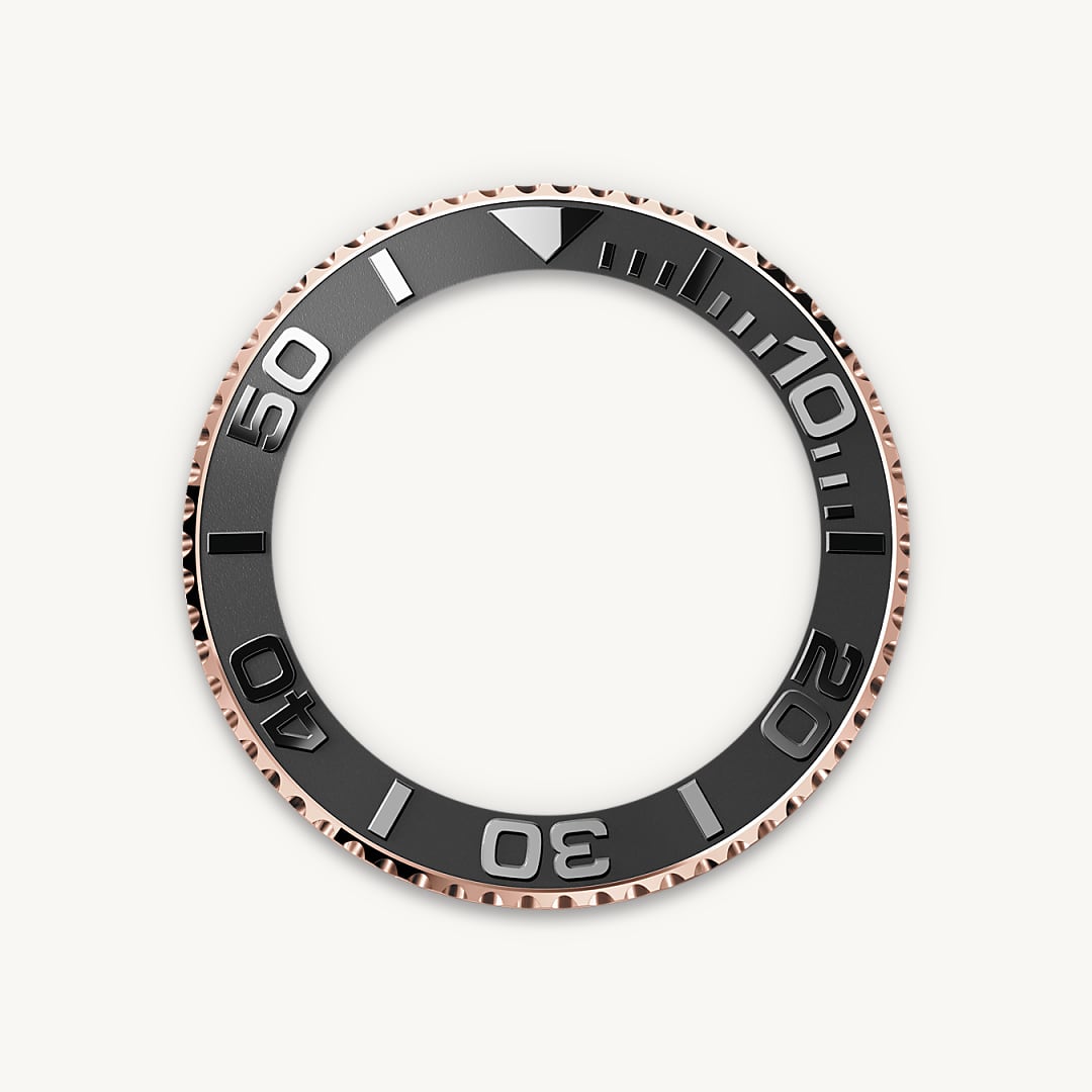 Bidirectional Rotatable Bezel