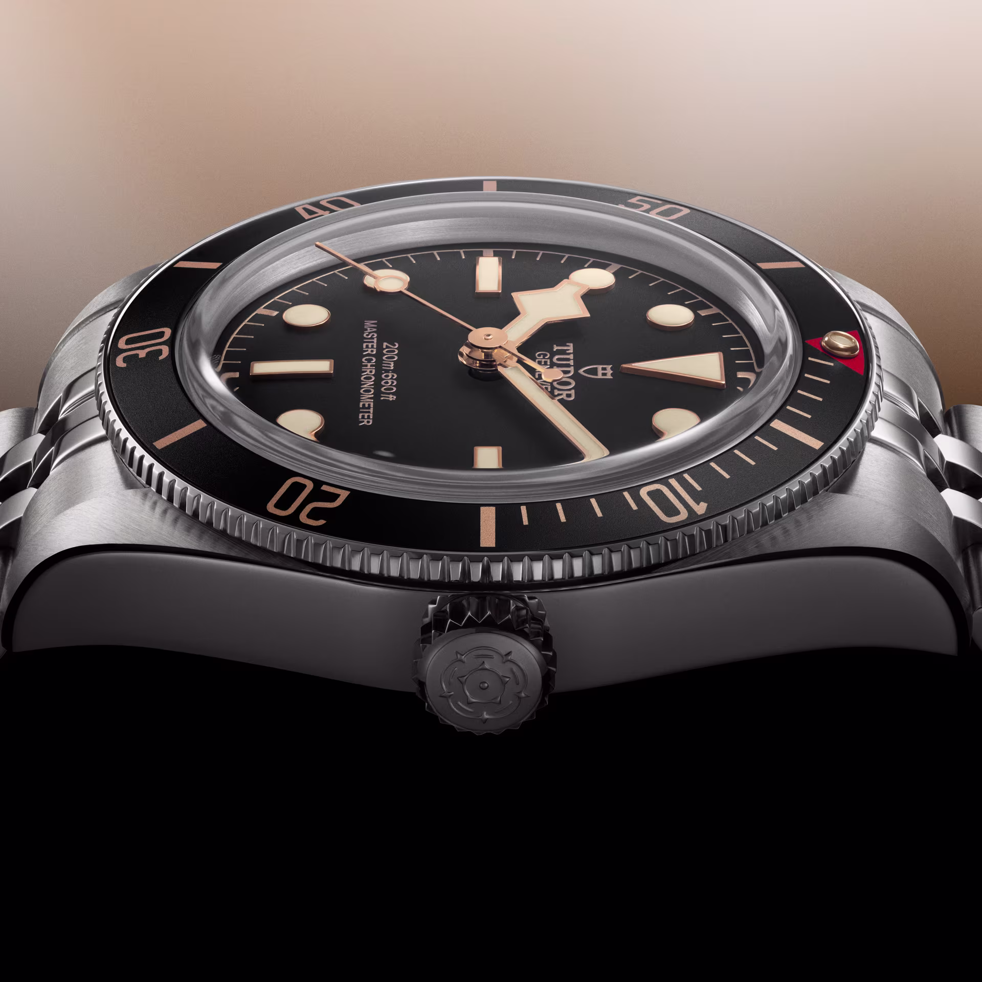Tudor Black Bay 58 Case Close Up