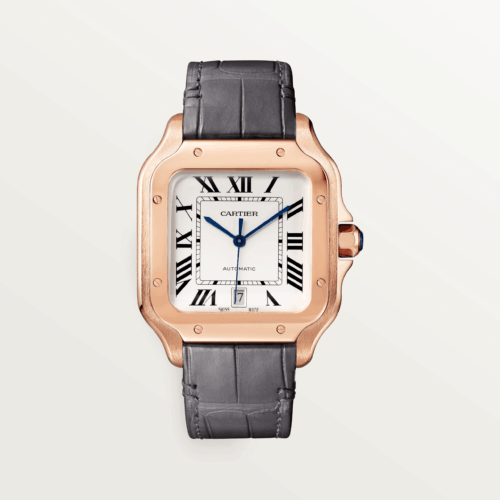 Cartier CRWGSA0019