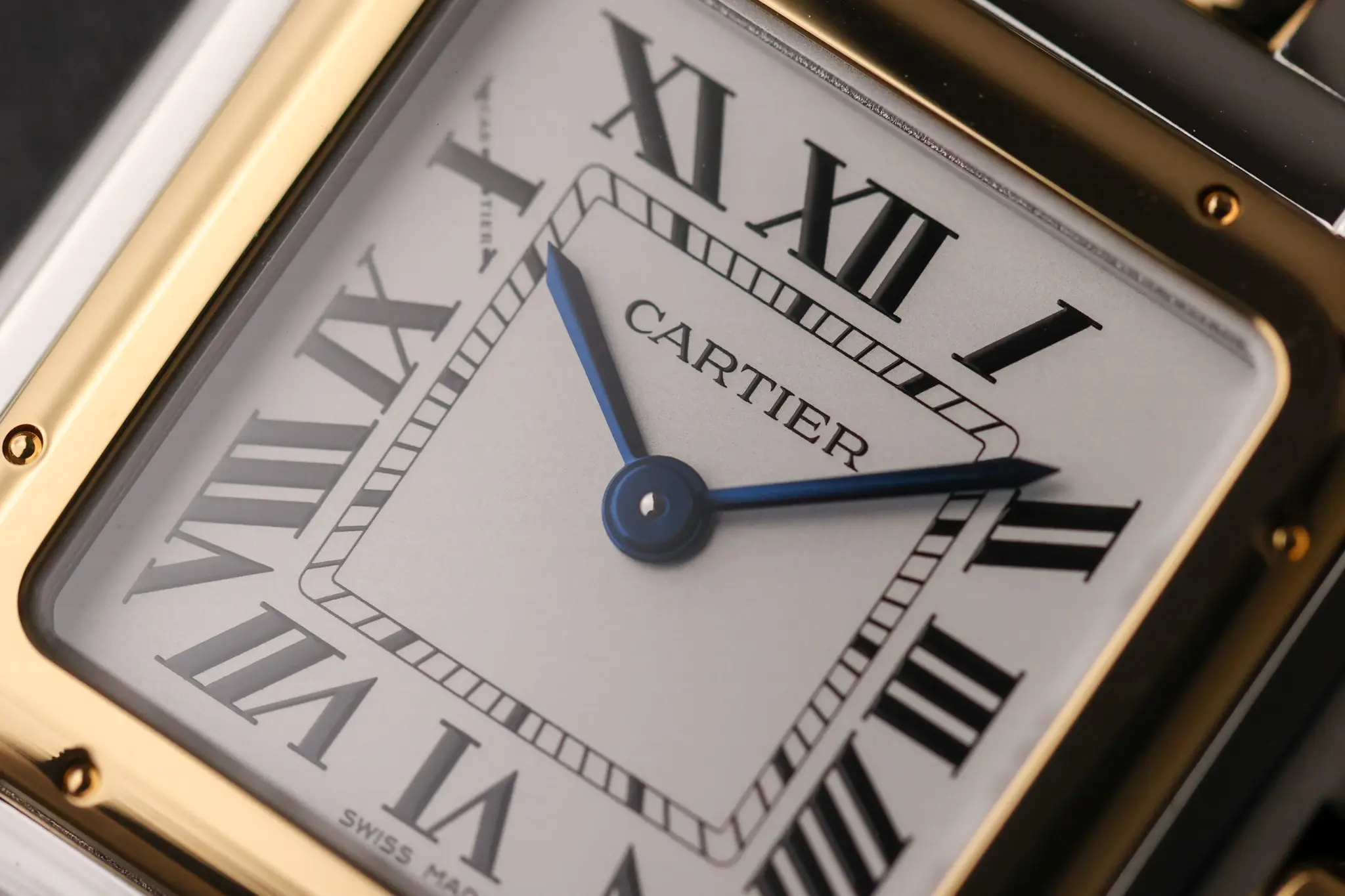 Macro close-up of Cartier Panthère dial with Roman numerals, minute track, and blue steel hands