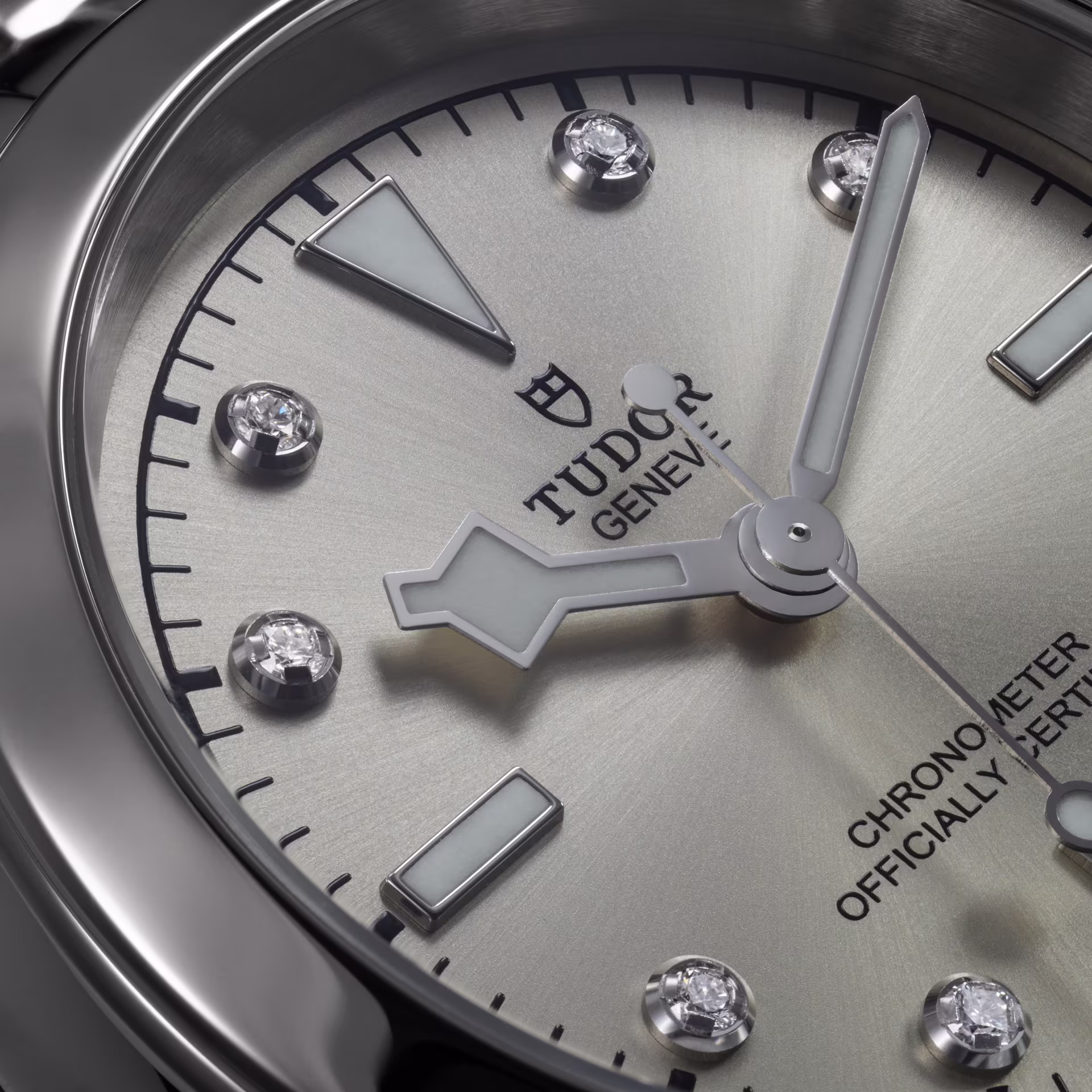 Tudor Black Bay 31 close up on the dial